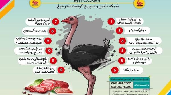 عکس های گوشت شتر مرغ