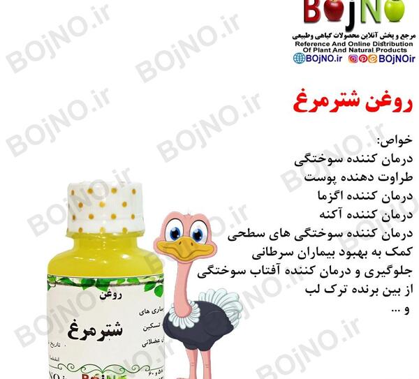 عکس کودکانه شتر مرغ