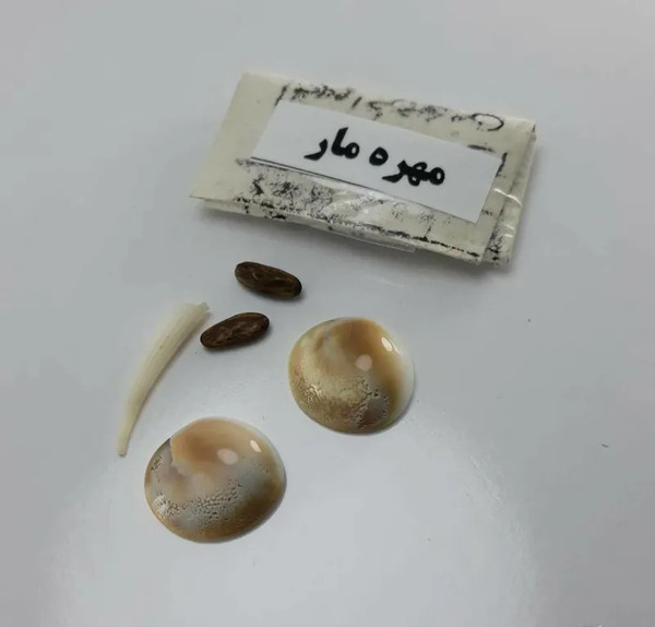 عکس مهره شاه کبرا