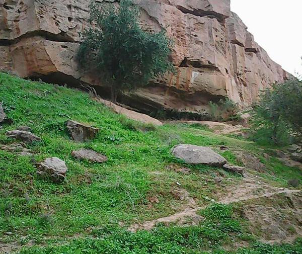 عکس شوشتر زیبا