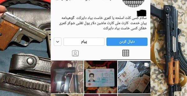 عکس کلت شاه کش