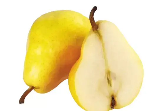 عکس شاه گلابی