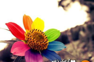 عکس چتر رنگین کمانی