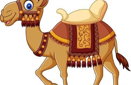 عکس ضرب المثل شتر در خواب بیند پنبه دانه