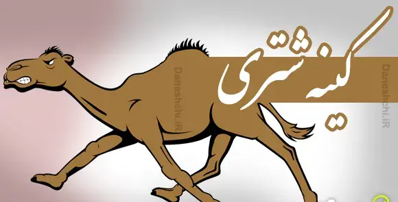عکس ضرب المثل شتر در خواب بیند پنبه دانه