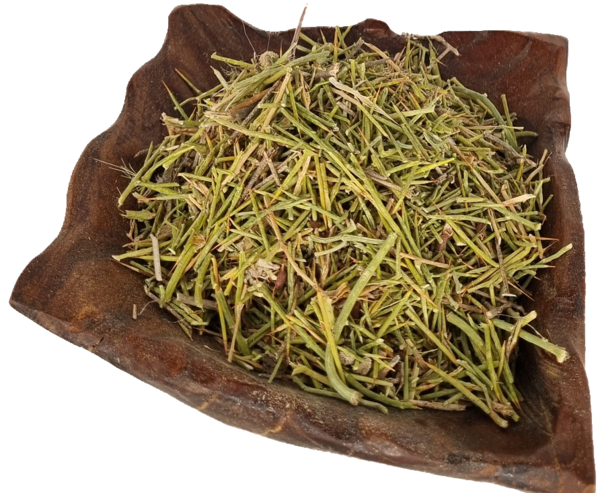 عکس گل خارشتر