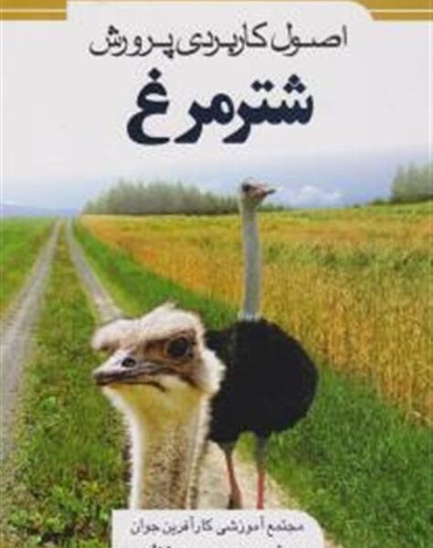 عکس شتر مرغ خندان