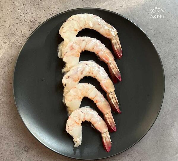 عکس شاه میگوی بزرگ