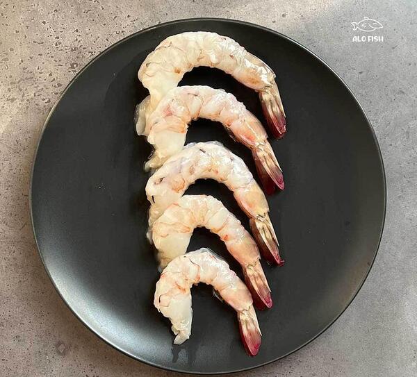 عکس از شاه میگو