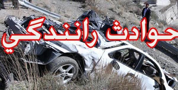 عکس تصادف با شتر