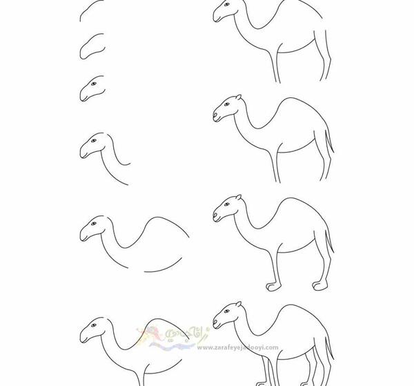 عکس شتر برای نقاشی کودکان