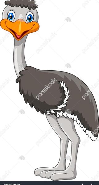 عکس شتر مرغ کارتونی
