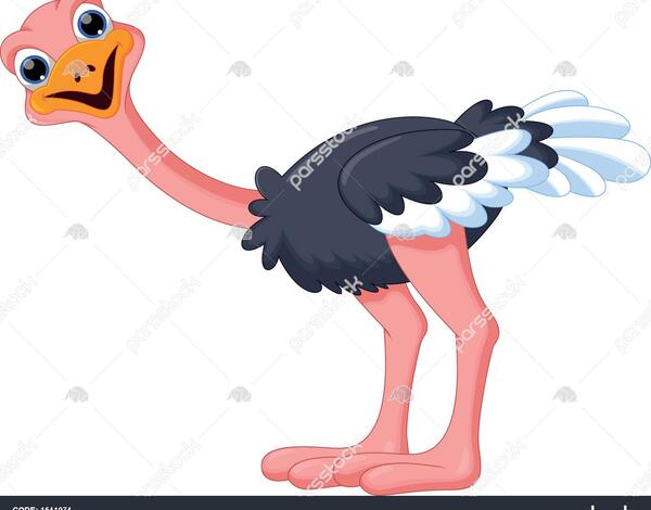 عکس شتر مرغ نقاشی