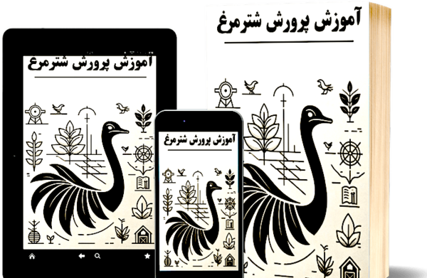 عکس انیمیشن شتر مرغ
