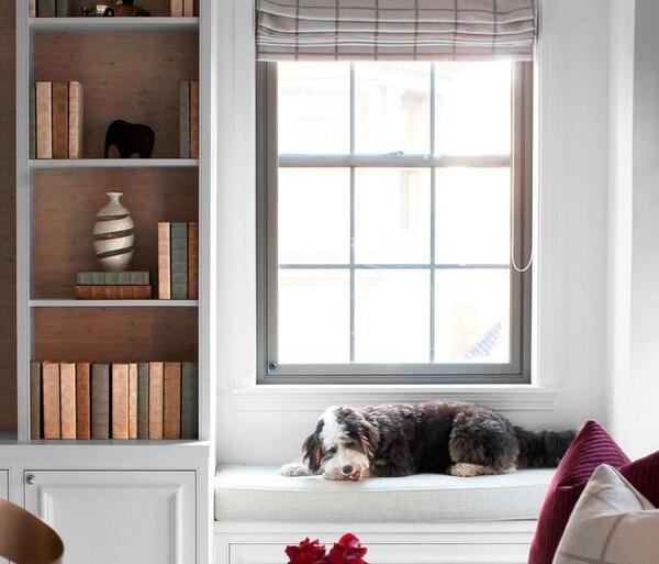 عکس کابینت شاه نشین