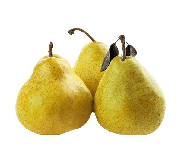 عکس گلابی شاه میوه