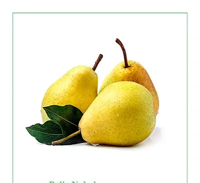 عکس گلابی شاه میوه