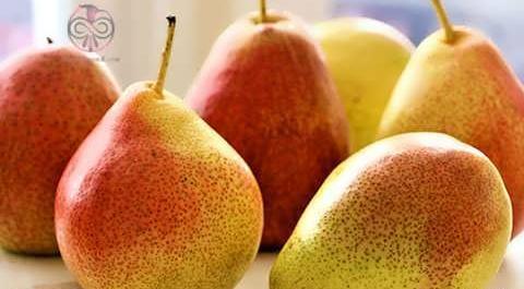 عکس گلابی شاه میوه