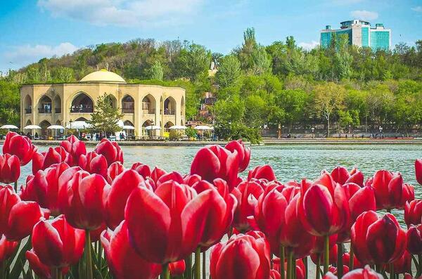 عکس های شاه گلی