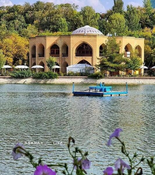 عکس های شاه گلی