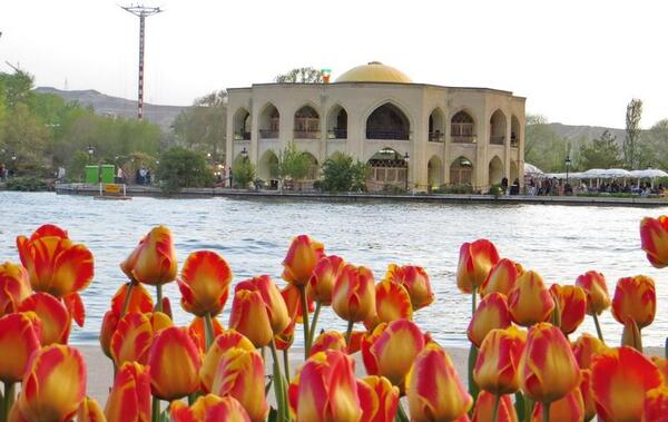 عکس شاه گلی در تبریز