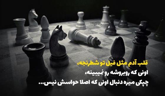 عکس شاه و سرباز شطرنج