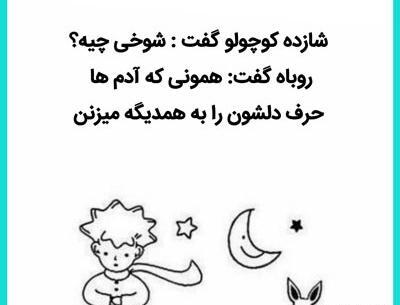 عکس نوشته های از شاهزاده کوچولو