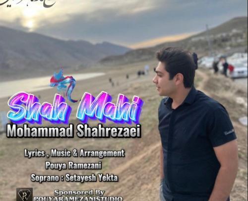 عکس شاهرضایی