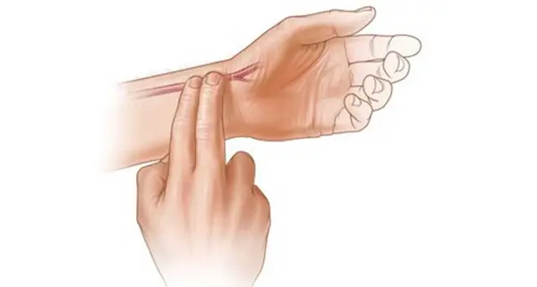 عکس شاهرگ اصلی دست کجاست