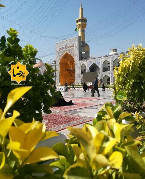 عکس نوشته سلام بر شاه خراسان