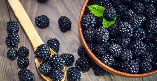 عکس میوه شاه توت