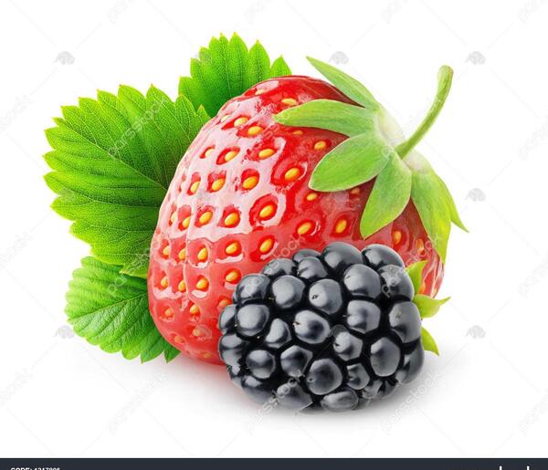 عکس میوه شاه توت