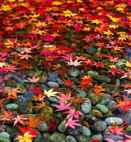 عکس های شاد و پر انرژی برای پروفایل