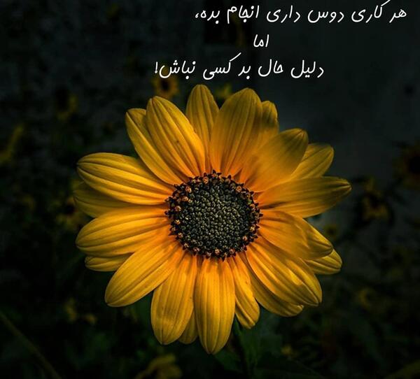 عکس پروفایل شاد و زیبا
