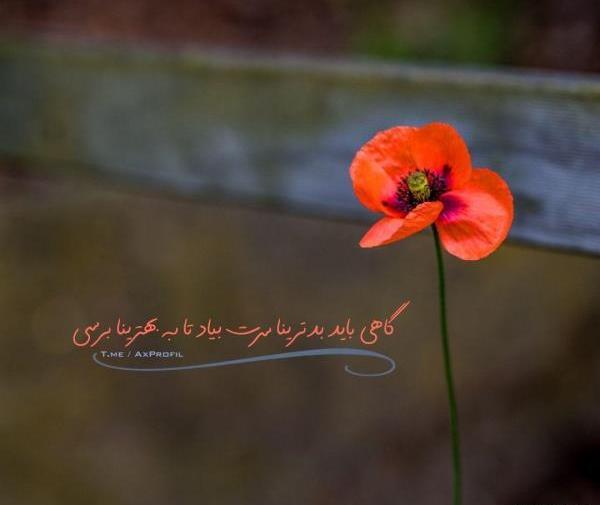 عکس پروفایل شاد و پر انرژی دخترانه