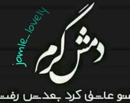 عکس پروفایل لری شاد