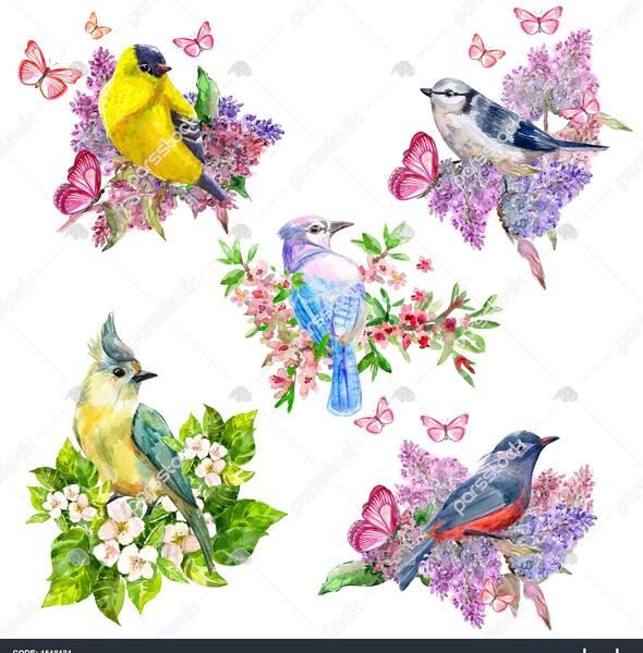 عکس گرافیکی شاد