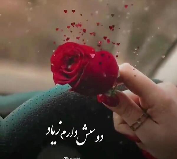 کانال عکس پروفایل شاد گل