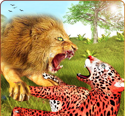 عکس شیر وحشی واقعی