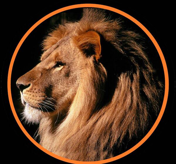 عکس شیر وحشی نقاشی