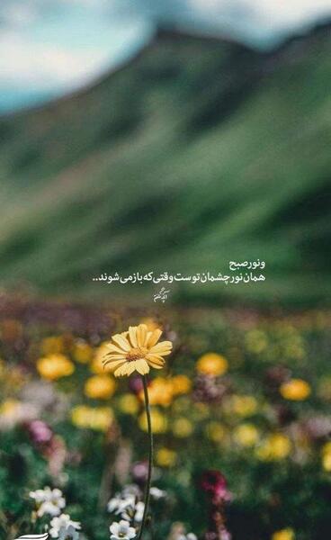 عکس صبح شاد