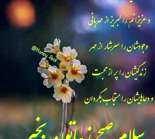 عکس صبحتان شاد