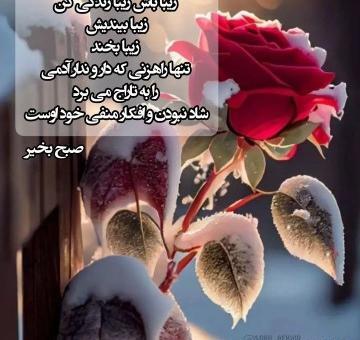 عکس شاد سلام صبح بخیر