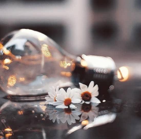 عکس برای پروفایل شاد ساده
