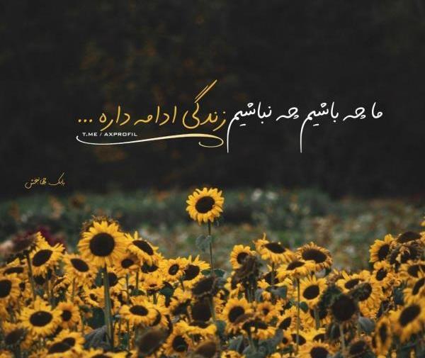 عکس زندگی شاد