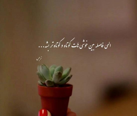 عکس شاد پروفایل جدید