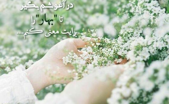 عکس پروفایل شاد بهاری