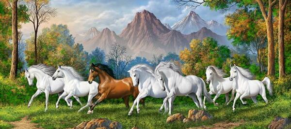 عکس از طبیعت شاد