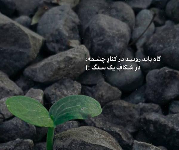 عکس شاد برای استوری