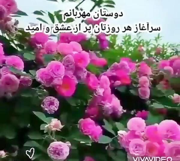 عکس سلام صبحتون بخیر و شادی